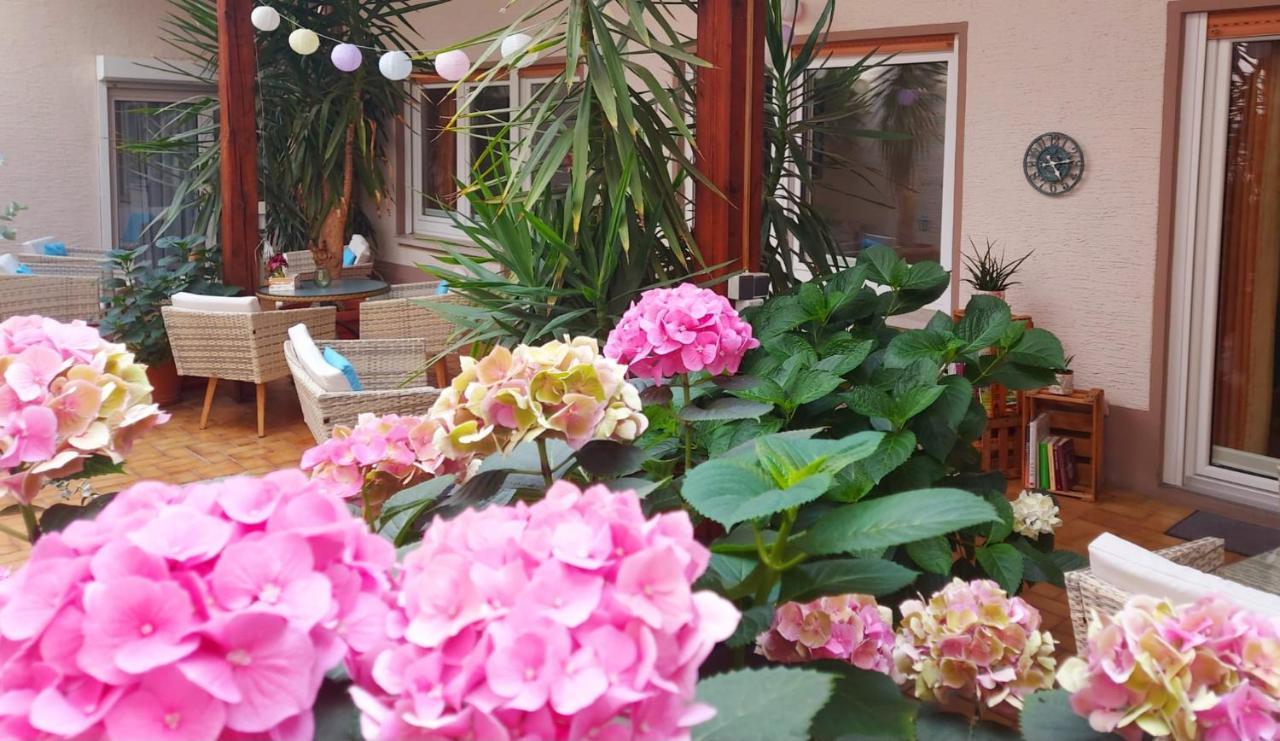 Gaestehaus Roehm Ilbesheim bei Landau in der Pfalz Buitenkant foto